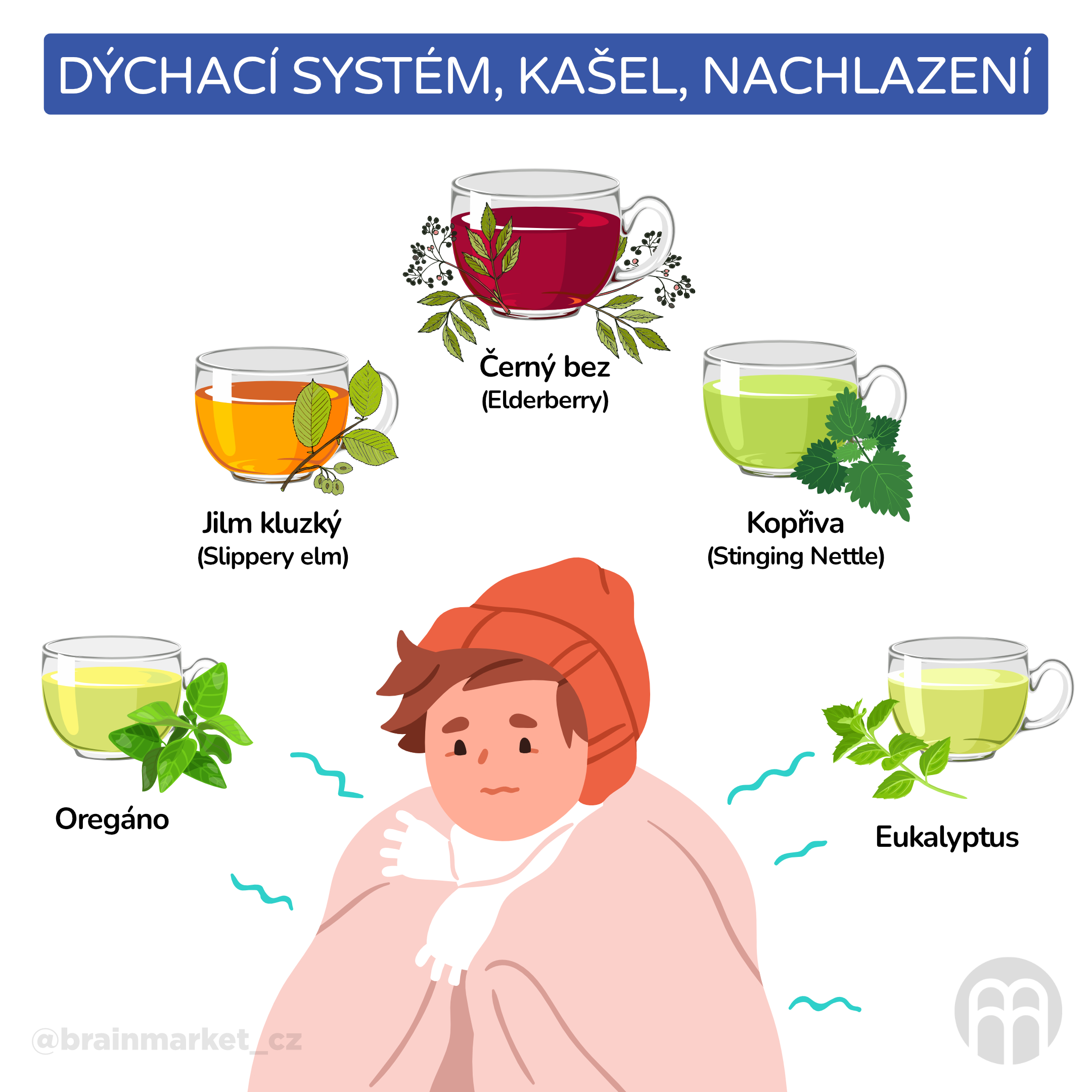 Dýchací systém, kašel, nachlazení_infografika_cz